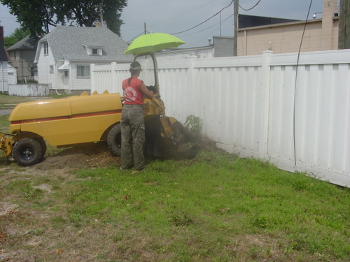 ./Gallery/2011 Bennet Lot Tree Removal/DSC06483.JPG